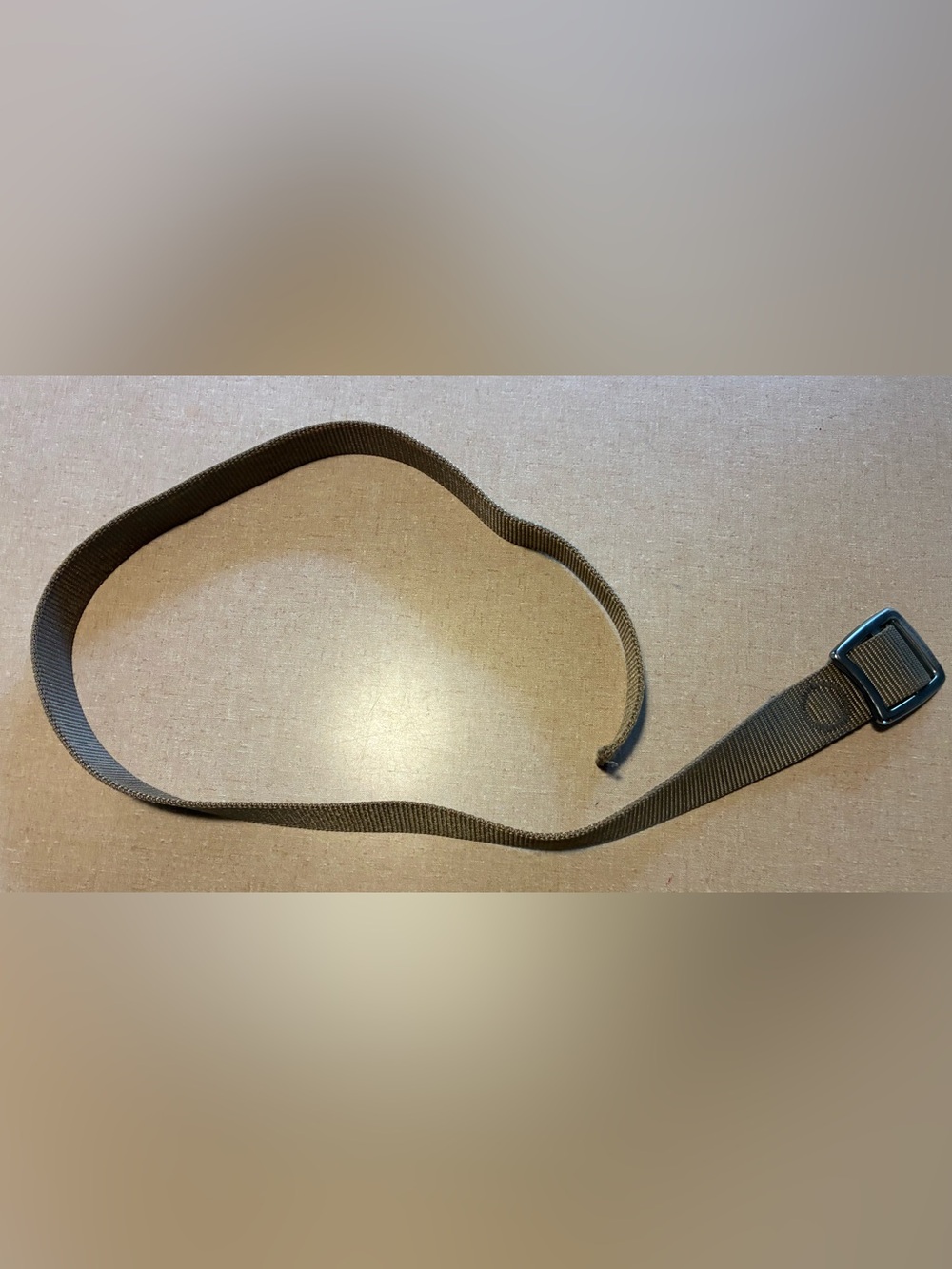 Patagonia Olive Green Webbing Belt with Metal Buckle